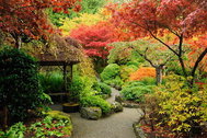 Японский сад – сдержанный и живописный одновременно